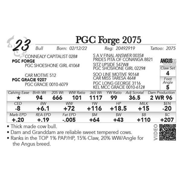 PGC Forge 2075