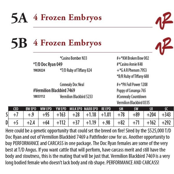 4 Frozen Embryos