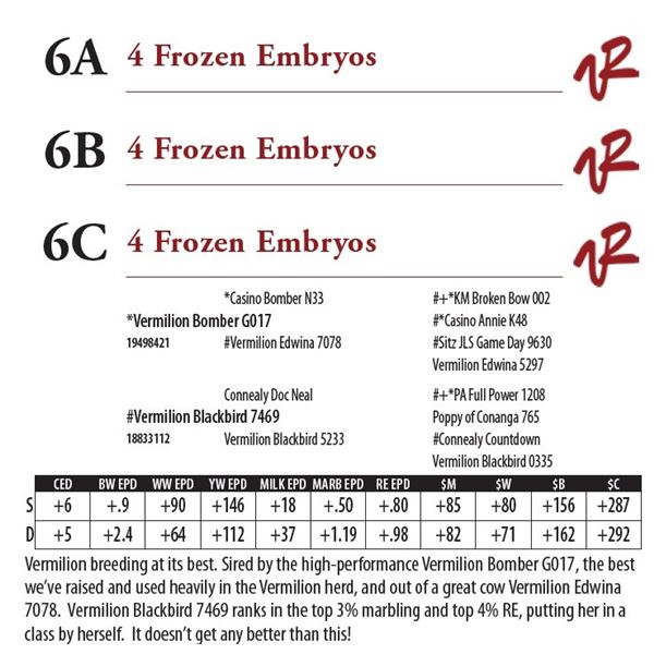 4 Frozen Embryos