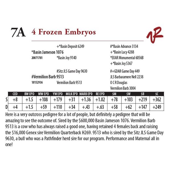 4 Frozen Embryos