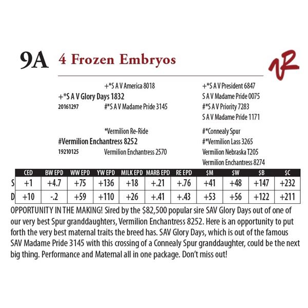 4 Frozen Embryos