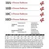 10B