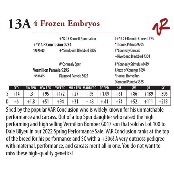 4 Frozen Embryos