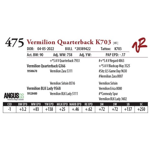 VERMILION QUARTERBACK K703