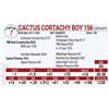 Image 1 : Cactus Cortachy Boy 156
