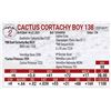 Image 1 : Cactus Cortachy Boy 138