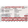 Image 1 : Cactus Cortachy Boy 129