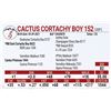 Image 1 : Cactus Cortachy Boy 152