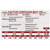 Image 1 : Cactus Cortachy Boy 120