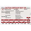 Image 1 : Cactus Cortachy Boy 104