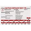Image 1 : Cactus Cortachy Boy 178