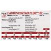 Image 1 : Cactus Cortachy Boy 182