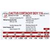 Image 1 : Cactus Cortachy Boy 116
