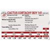 Image 1 : Cactus Cortachy Boy 141