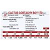 Image 1 : Cactus Cortachy Boy 170