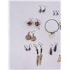 Image 2 : Group of Native American Earrings