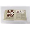 Image 2 : Bev Doolittle New Magic Print