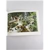 Image 8 : Visions: The Art of Bev Doolittle