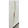 Image 2 : Bear Panda Recurve Bow