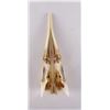 Image 3 : Taxidermy Alligator Gar Skull