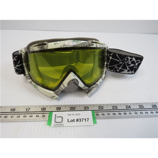 Ski Googles