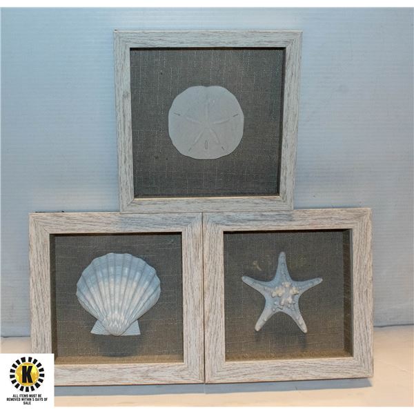 3PC (3D) SEASHELL GLASS CASED WALL ART SET