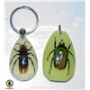 Image 1 : 2 BUGS ENCASED WITH KEY CHAIN RINGSÿ