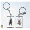 Image 1 : 2 BUGS ENCASED WITH KEY CHAIN RINGSÿ