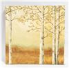 Image 1 : BIRCH TREE PICTURE 30 BY 30 INCH