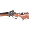 Image 8 : PEDERSOLI 1874 SHARPS LONG RANGE RIFLE