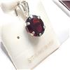 Image 2 : Silver Garnet Pendant (~Size 0) (~length 0 inches), Suggested Retail Value $60