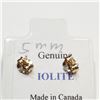Image 4 : 14K Yellow Gold Iolite Earrings (~Size 0) (~length 0 inches), Suggested Retail Value $120