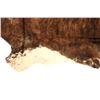 Image 9 : Exotic Tri-Colored Speckled Cowhide Premium Rug