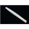 Image 12 : RARE Sawfish Rostrum Toothed Bill Pre-1950