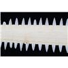 Image 14 : RARE Sawfish Rostrum Toothed Bill Pre-1950