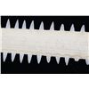 Image 15 : RARE Sawfish Rostrum Toothed Bill Pre-1950