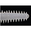 Image 9 : RARE Sawfish Rostrum Toothed Bill Pre-1950