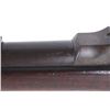 Image 19 : Springfield Mod 1884 Trapdoor Ramrod Bayonet Rifle