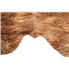 Image 8 : Light Brindle Striped Brown Premium Cowhide