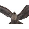 Image 10 : Large Bronze Eagle by Duane Scott - 49 Inches High