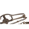 Image 14 : Oneida Victor #3 Double Long Spring Traps (2)