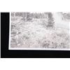 Image 6 : Two Early 1900s Montana Photographs