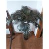 Image 1 : Artificial Palm Tree