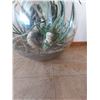 Image 2 : Aloe Vera Terrarium