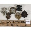 Image 1 : LOT OF 6 - BRITISH CAP BADGES 