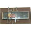 Image 1 : Plastic Light-Up Motion Pearl Lager Beer Sign