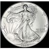 Image 1 : 1992 American Silver Eagle