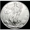 Image 1 : 1996 American Silver Eagle