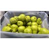 Image 2 : LARGE LOT OF MOVIE PROP PEARS 5.5" TALL