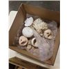 Image 2 : BOX OF VINTAGE PERFUME BOTTLES, JADE TREE, AND BOX OF SHELLS